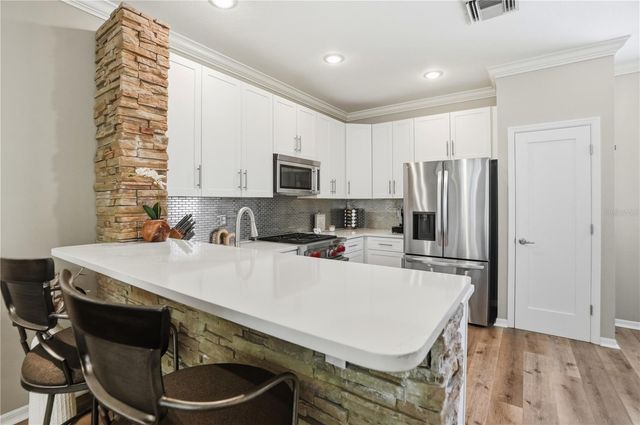 1449 HARBOUR WALK ROAD, Tampa, FL 33602
