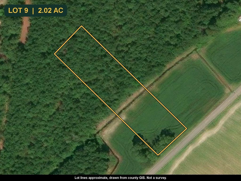 TBD N Nichols Hwy., Nichols, SC 29581 — photo 2