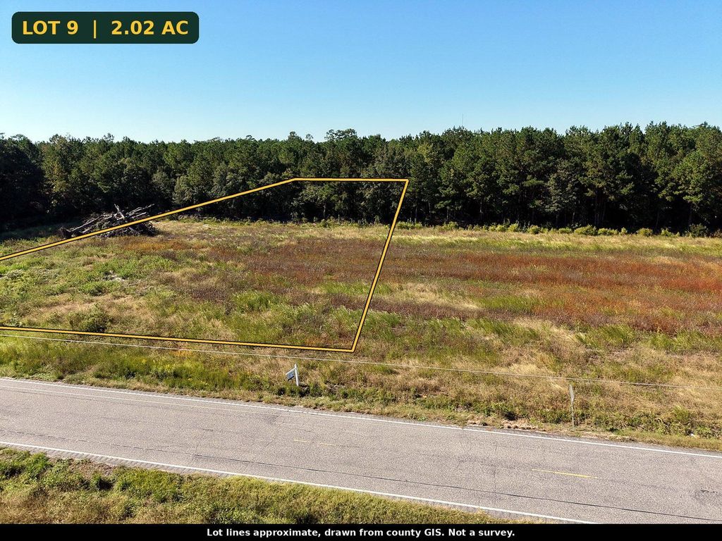 TBD N Nichols Hwy., Nichols, SC 29581 — photo 4