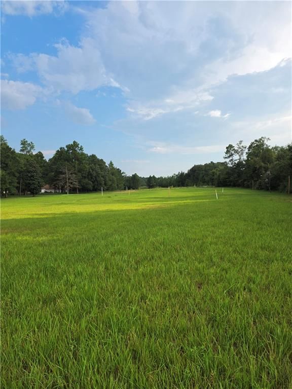 0 Grand Bay-Wilmer Road, Mobile, AL 36695 — photo 2