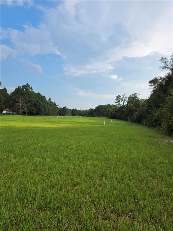 0 Grand Bay-Wilmer Road, Mobile, AL 36695 — photo 4