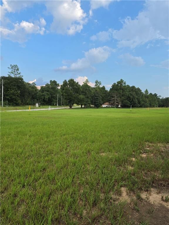 0 Grand Bay-Wilmer Road, Mobile, AL 36695 — photo 5