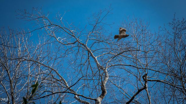 8309 Ashwood Drive, Raleigh, NC 27603