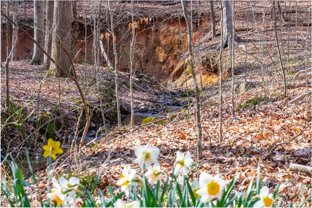 8309 Ashwood Drive, Raleigh, NC 27603