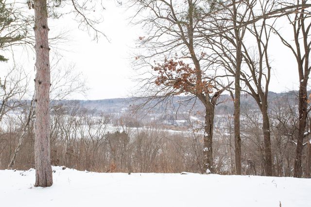 1516 Twin Springs Road, Houlton, WI 54082