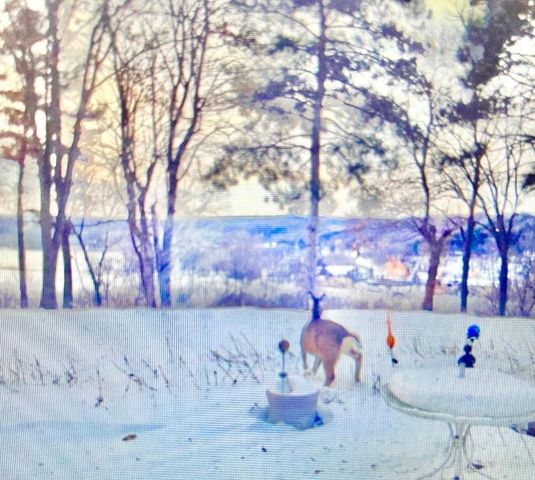 1516 Twin Springs Road, Houlton, WI 54082