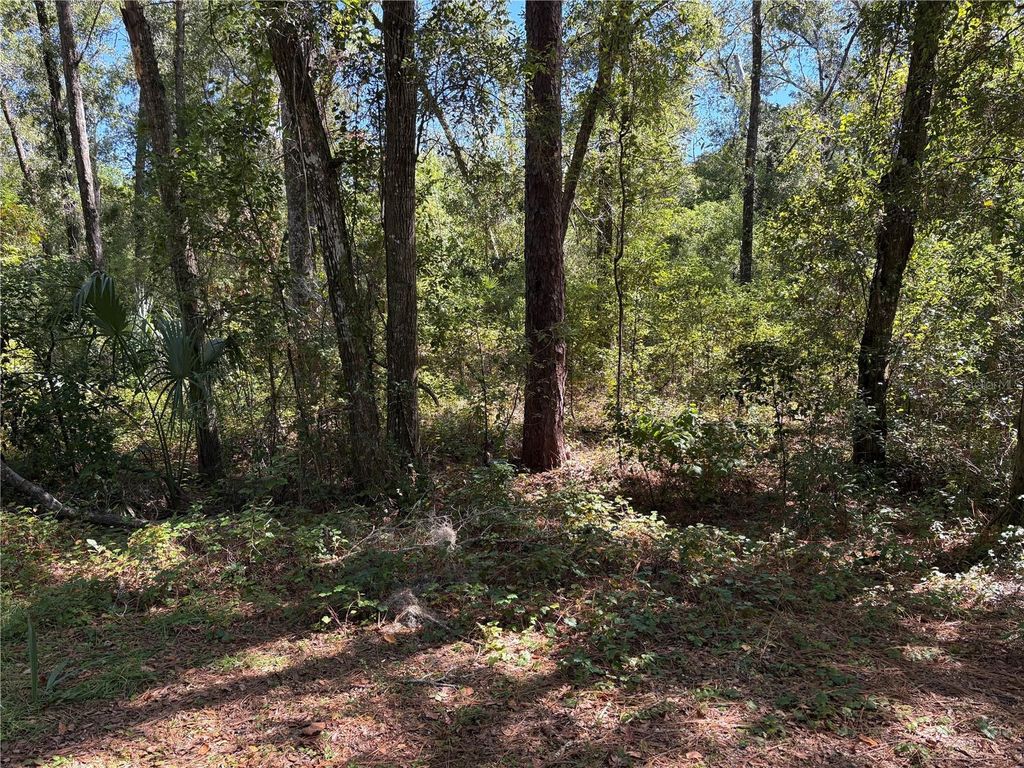 1222 CLOVER TERRACE, Inverness, FL 34452