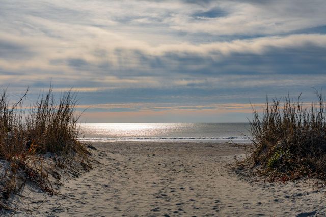 904 E Arctic Avenue, Folly Beach, SC 29439