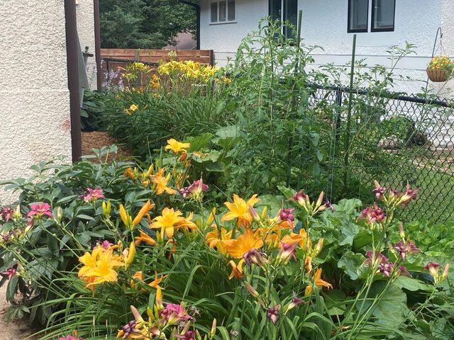 49 Sheridan Avenue S, Minneapolis, MN 55405