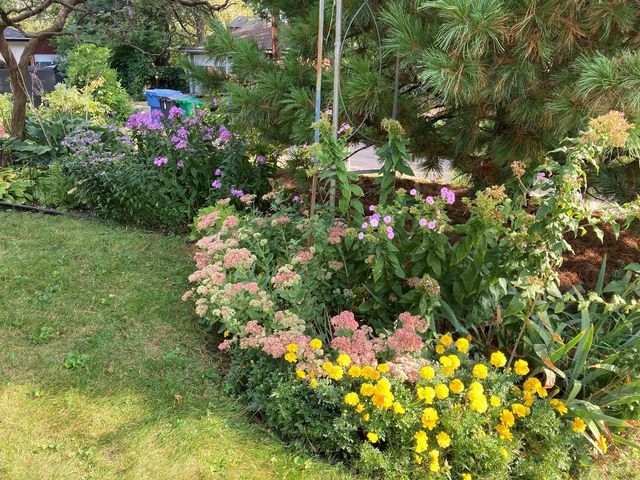 49 Sheridan Avenue S, Minneapolis, MN 55405