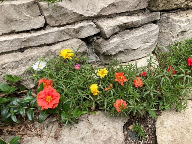 49 Sheridan Avenue S, Minneapolis, MN 55405