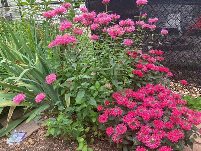 49 Sheridan Avenue S, Minneapolis, MN 55405