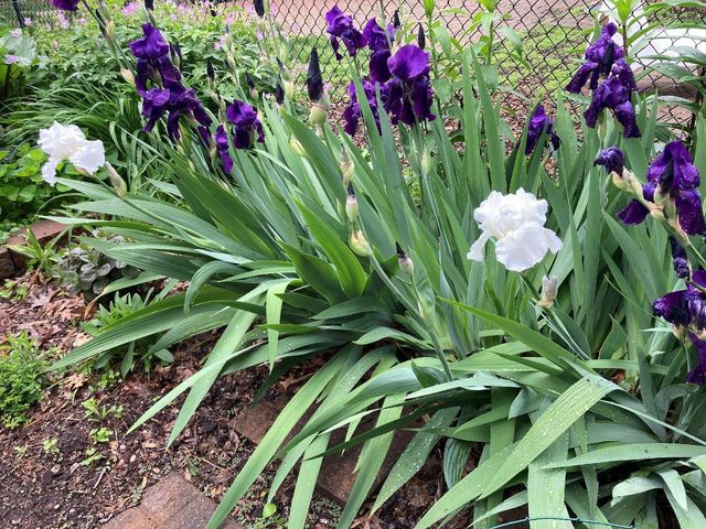 49 Sheridan Avenue S, Minneapolis, MN 55405