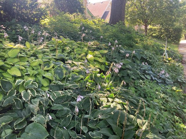 49 Sheridan Avenue S, Minneapolis, MN 55405