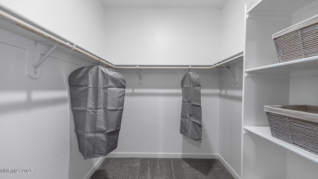 476 Sheep Camp Drive, Dayton, NV 89403