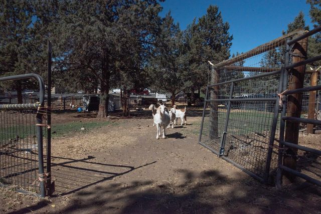 13379 SW Cinder Drive, Terrebonne, OR 97760