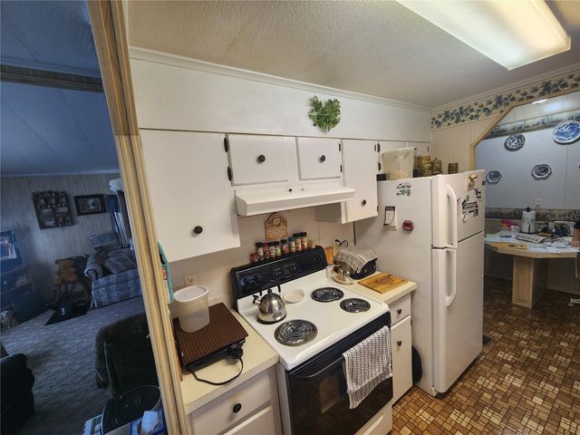 569 CR 486, Lake Panasoffkee, FL 33538