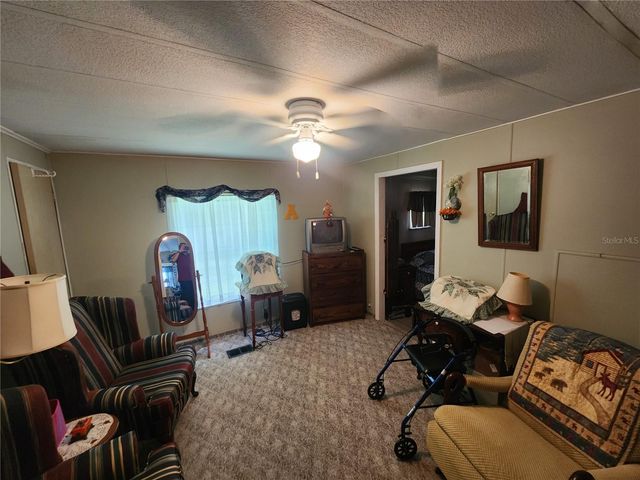 569 CR 486, Lake Panasoffkee, FL 33538