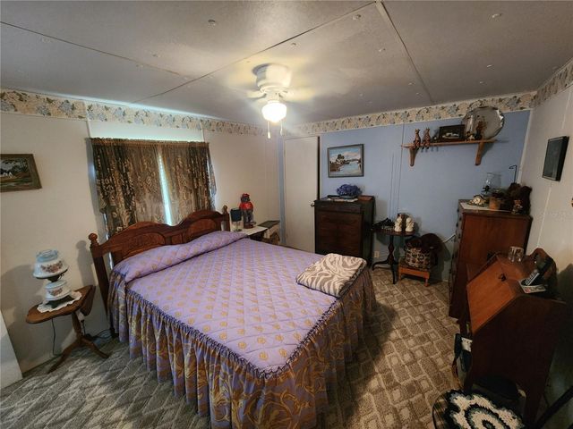 569 CR 486, Lake Panasoffkee, FL 33538