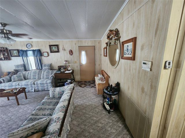 569 CR 486, Lake Panasoffkee, FL 33538