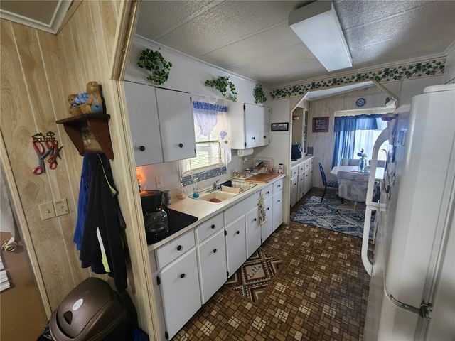 569 CR 486, Lake Panasoffkee, FL 33538