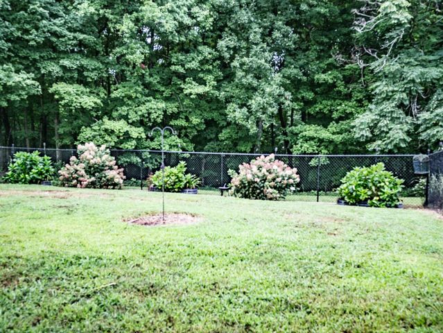 1004 Breeden Rd, Charlotte, TN 37036