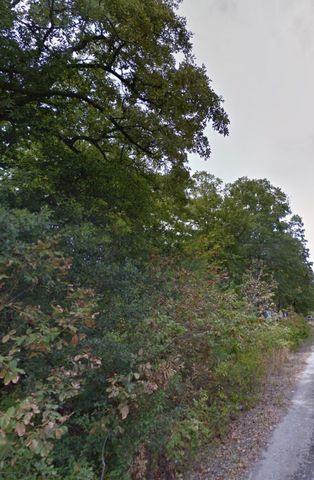 191 Coahoma Street, Mabank, TX 75156