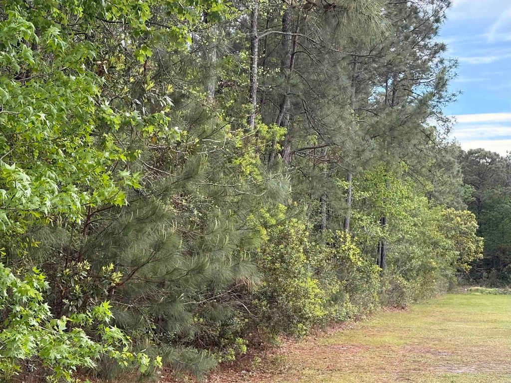 TBD Gussie Ct., Myrtle Beach, SC 29588 — photo 2