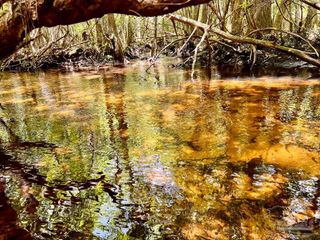 Lot 96 Turning Leaf Rd, North Pace, FL 32571