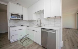 8111 Camino del Oro, San Diego, CA 92037