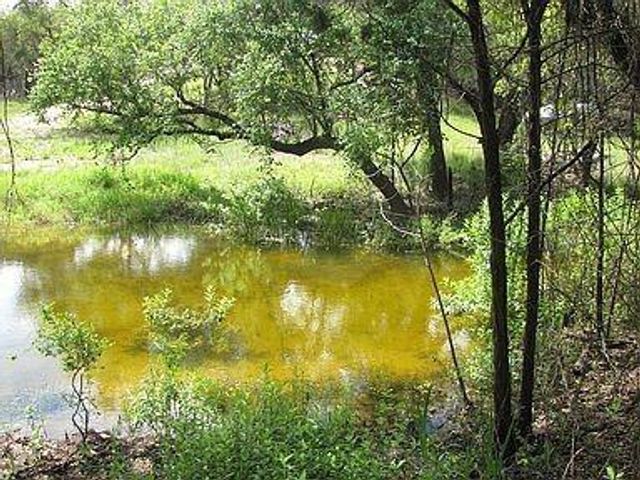 350 Bluff RD, Spicewood, TX 78669