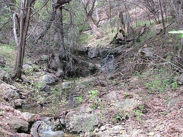 350 Bluff RD, Spicewood, TX 78669