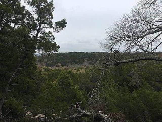350 Bluff RD, Spicewood, TX 78669