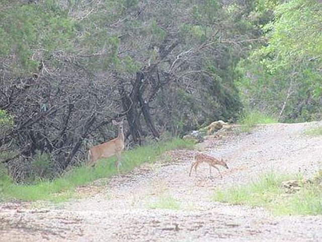 350 Bluff RD, Spicewood, TX 78669