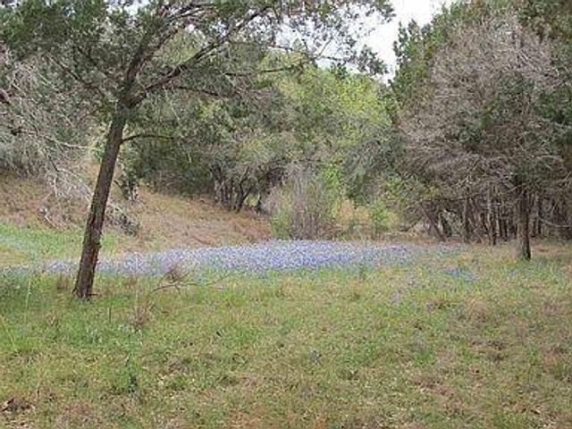 350 Bluff RD, Spicewood, TX 78669