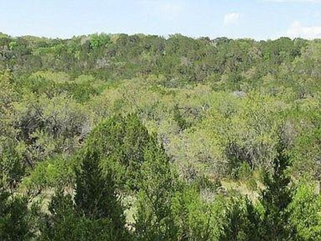 350 Bluff RD, Spicewood, TX 78669