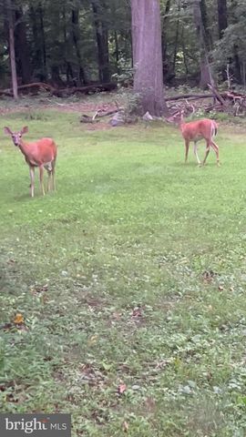 31 S JOHN F KENNEDY WAY, Willingboro, NJ 08046