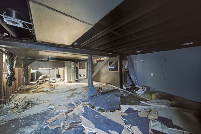 8750 S Princeton Avenue, Chicago, IL 60620