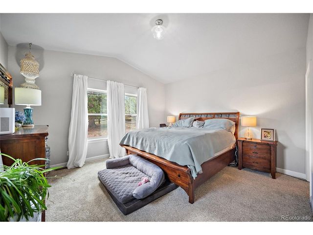 1101 Ptarmigan Dr, Woodland Park, CO 80863