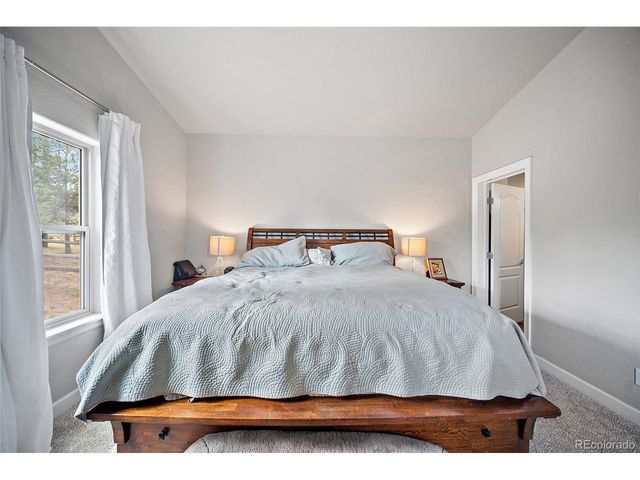 1101 Ptarmigan Dr, Woodland Park, CO 80863