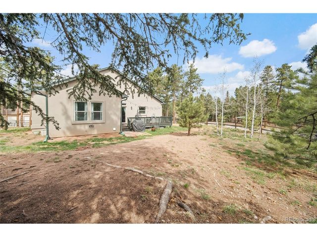 1101 Ptarmigan Dr, Woodland Park, CO 80863