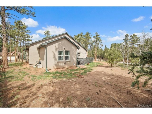 1101 Ptarmigan Dr, Woodland Park, CO 80863