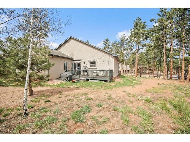 1101 Ptarmigan Dr, Woodland Park, CO 80863