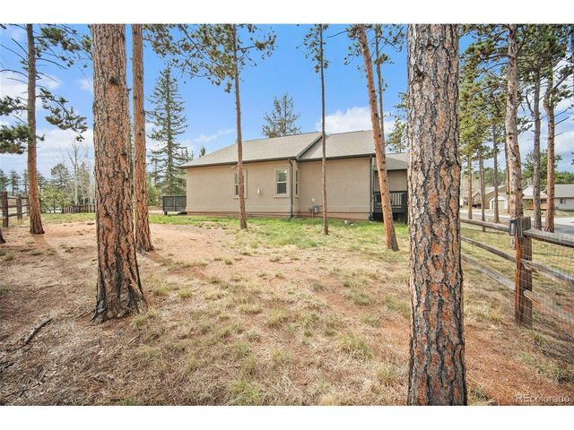 1101 Ptarmigan Dr, Woodland Park, CO 80863