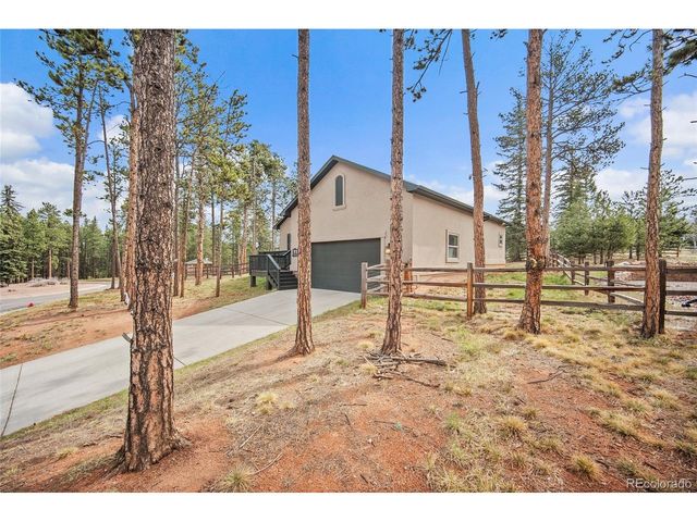 1101 Ptarmigan Dr, Woodland Park, CO 80863