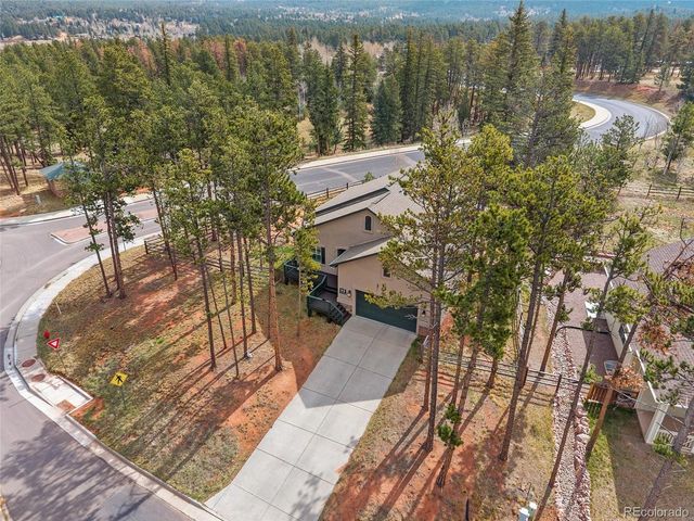 1101 Ptarmigan Dr, Woodland Park, CO 80863