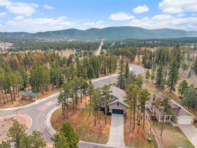 1101 Ptarmigan Dr, Woodland Park, CO 80863