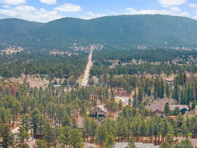 1101 Ptarmigan Dr, Woodland Park, CO 80863