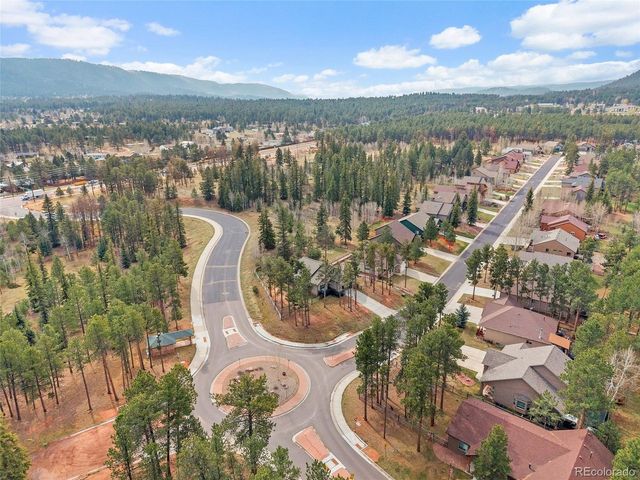 1101 Ptarmigan Dr, Woodland Park, CO 80863