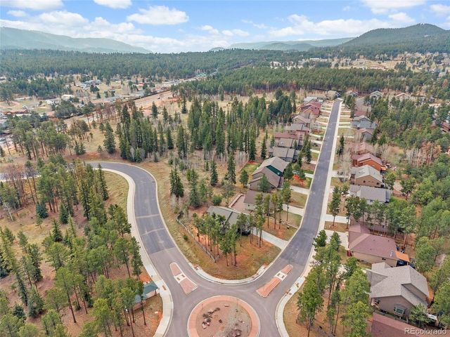 1101 Ptarmigan Dr, Woodland Park, CO 80863